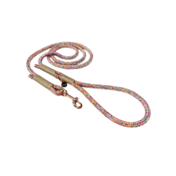 City rope leash - Rainbow