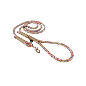 City rope leash - Rainbow