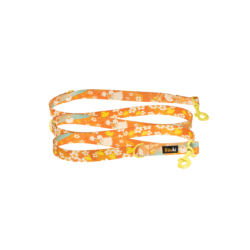 Reversible dog leash – Ducklings