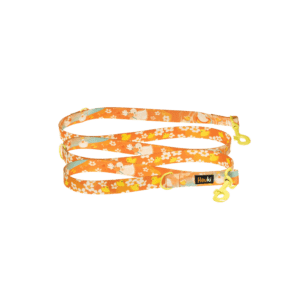 Smycz dla psa przepinana – Kaczuszki