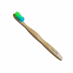 Eco-friendly toothbrush