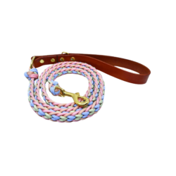 Urban paracord leash