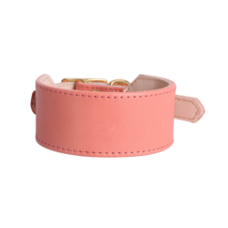 Leather Sighthound Collar - Coral