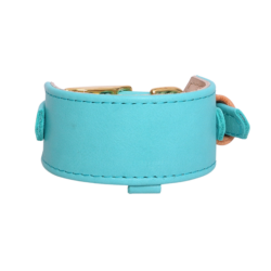 Leather Sighthound Collar - Turquoise