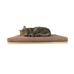 Cat wall shelf - flat