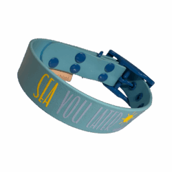 Buckle collar