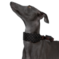 Half-clamp collar