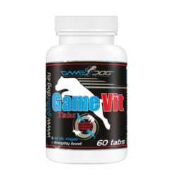 GameVit Tabs